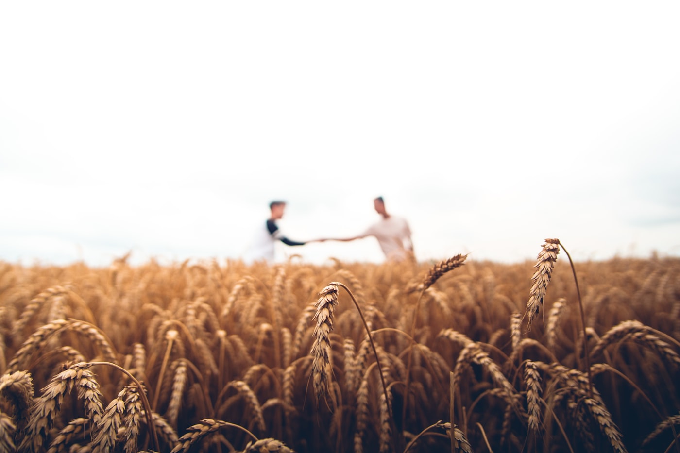 Producción Agrícola